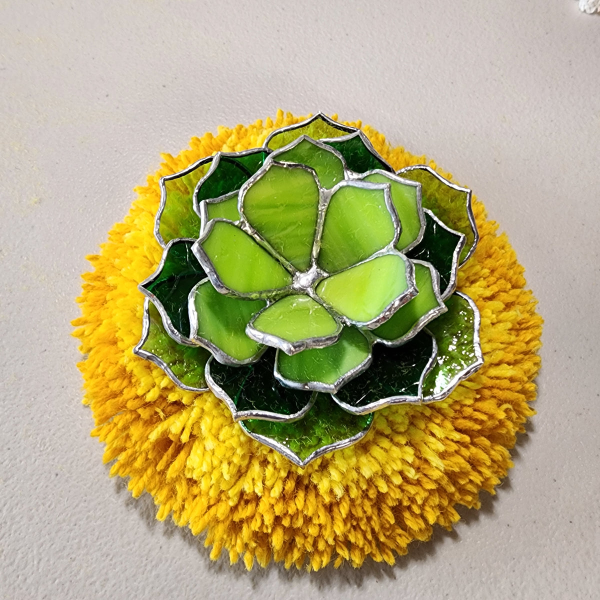 Glass succulent on a fluffy wool Rug